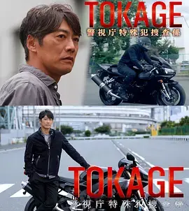 《TOKAGE 警视厅特殊犯搜查组》全集高清完整版在线观看与剧情解析