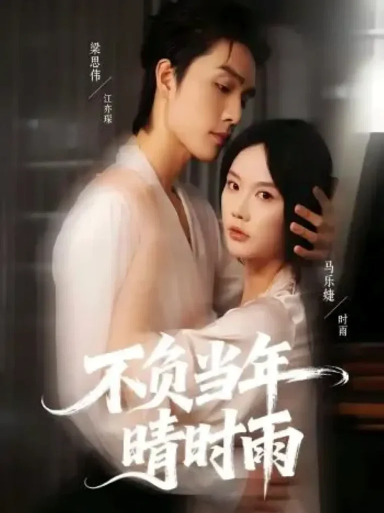 《不负当年晴时雨》全集高清完整版在线观看与剧情解析