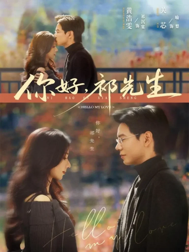 《你好，祁先生》全集高清完整版在线观看与剧情解析