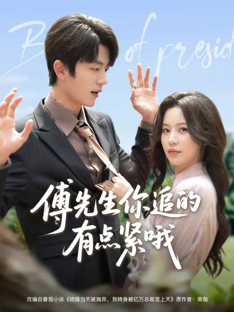 《傅先生你追的有点紧哦》全集高清完整版在线观看与剧情解析