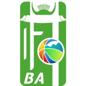 和美乡村篮球赛 丰泽北峰·商会VS台商百崎乡·隆盛，南安石井VS石狮宝盖20250726 (2)