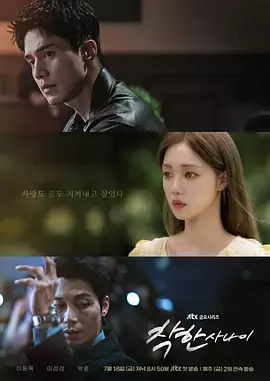 《善良的他》全集高清完整版在线观看与剧情解析