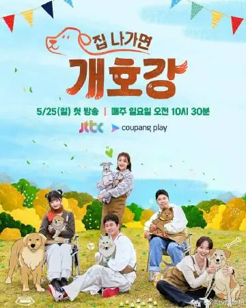 《小狗幼儿园》全集高清完整版在线观看与剧情解析