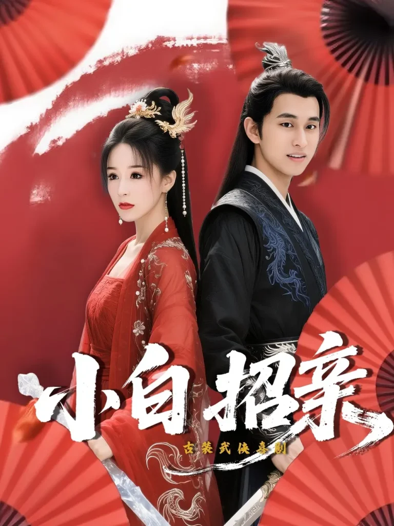 《小白招亲》全集高清完整版在线观看与剧情解析
