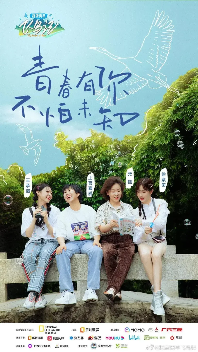 《探索青年飞鸟记》全集高清完整版在线观看与剧情解析