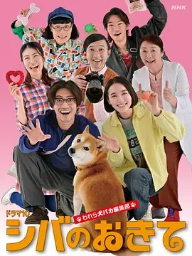 《柴犬的规矩～我们这群狗痴编辑部～》全集高清完整版在线观看与剧情解析