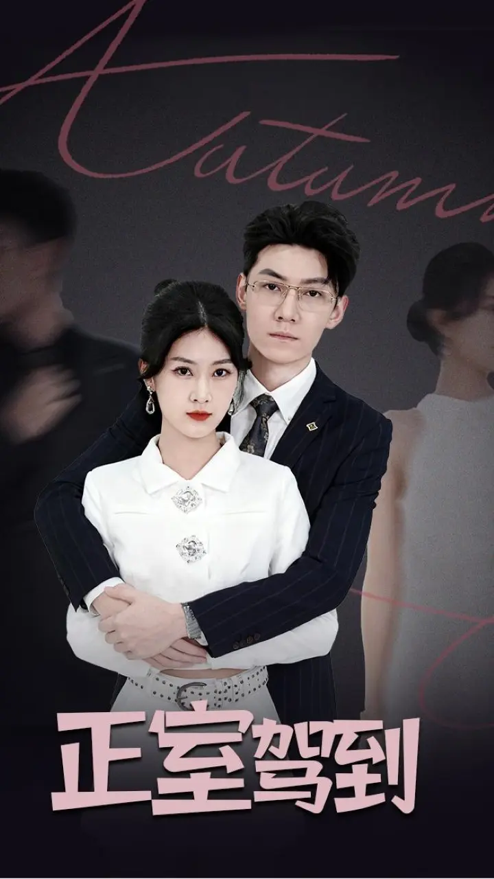 《正室驾到》全集高清完整版在线观看与剧情解析