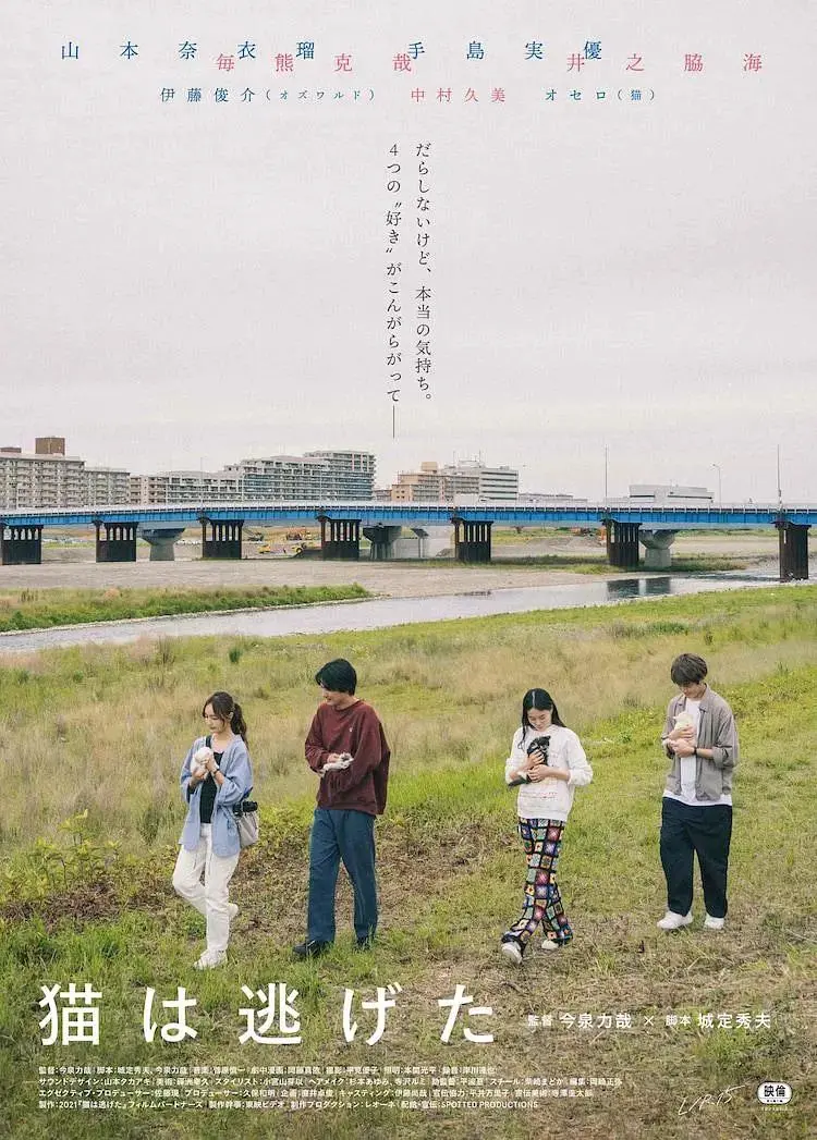 《猫猫逃走了》全集高清完整版在线观看与剧情解析