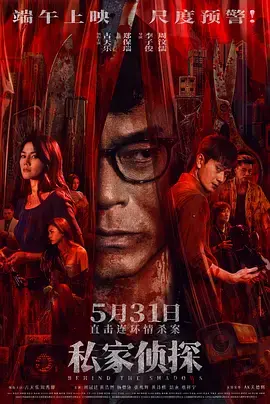 《私家侦探[电影解说]》全集高清完整版在线观看与剧情解析