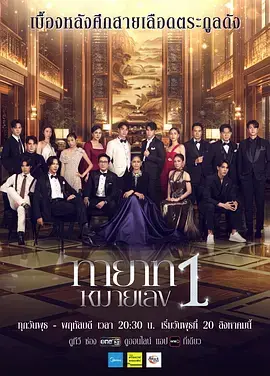 《第一继承人》全集高清完整版在线观看与剧情解析