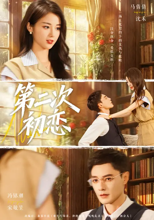 《第二次初恋》全集高清完整版在线观看与剧情解析