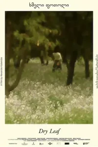 落叶球