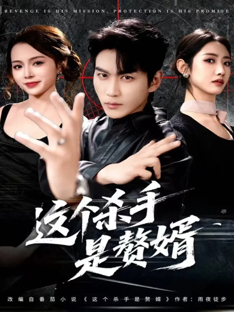 《这个杀手是赘婿》全集高清完整版在线观看与剧情解析