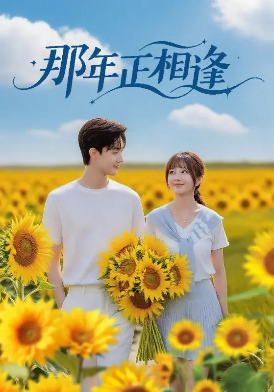 《那年正相逢》全集高清完整版在线观看与剧情解析